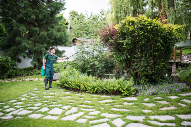Best Tree Preservation Services  in Burlingame, CA