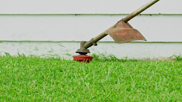 Best Tree Health Inspection  in Burlingame, CA